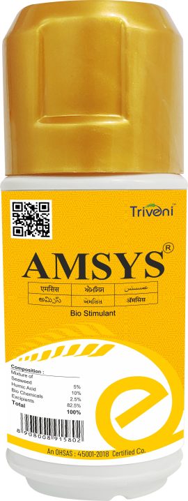 AMSYS