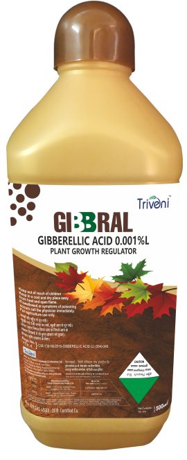Gibbral