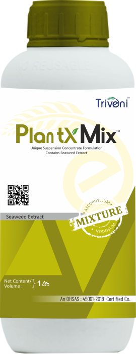 Plant X Mix