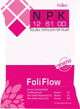 Foli Flow